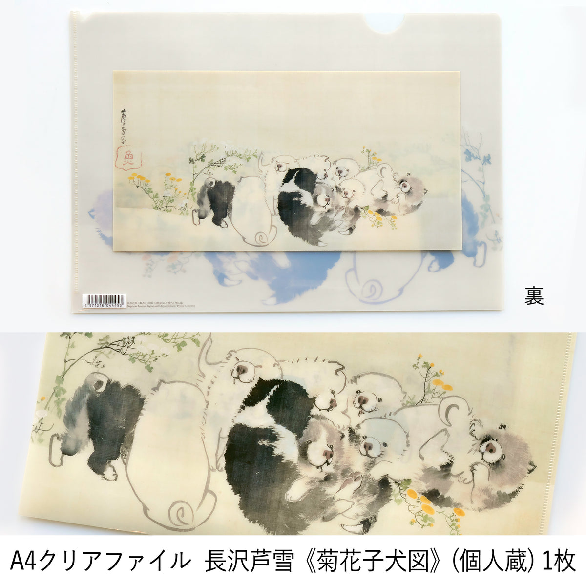 長沢芦雪《菊花子犬図》絵はがき＆クリアファイルセット – 山種美術館