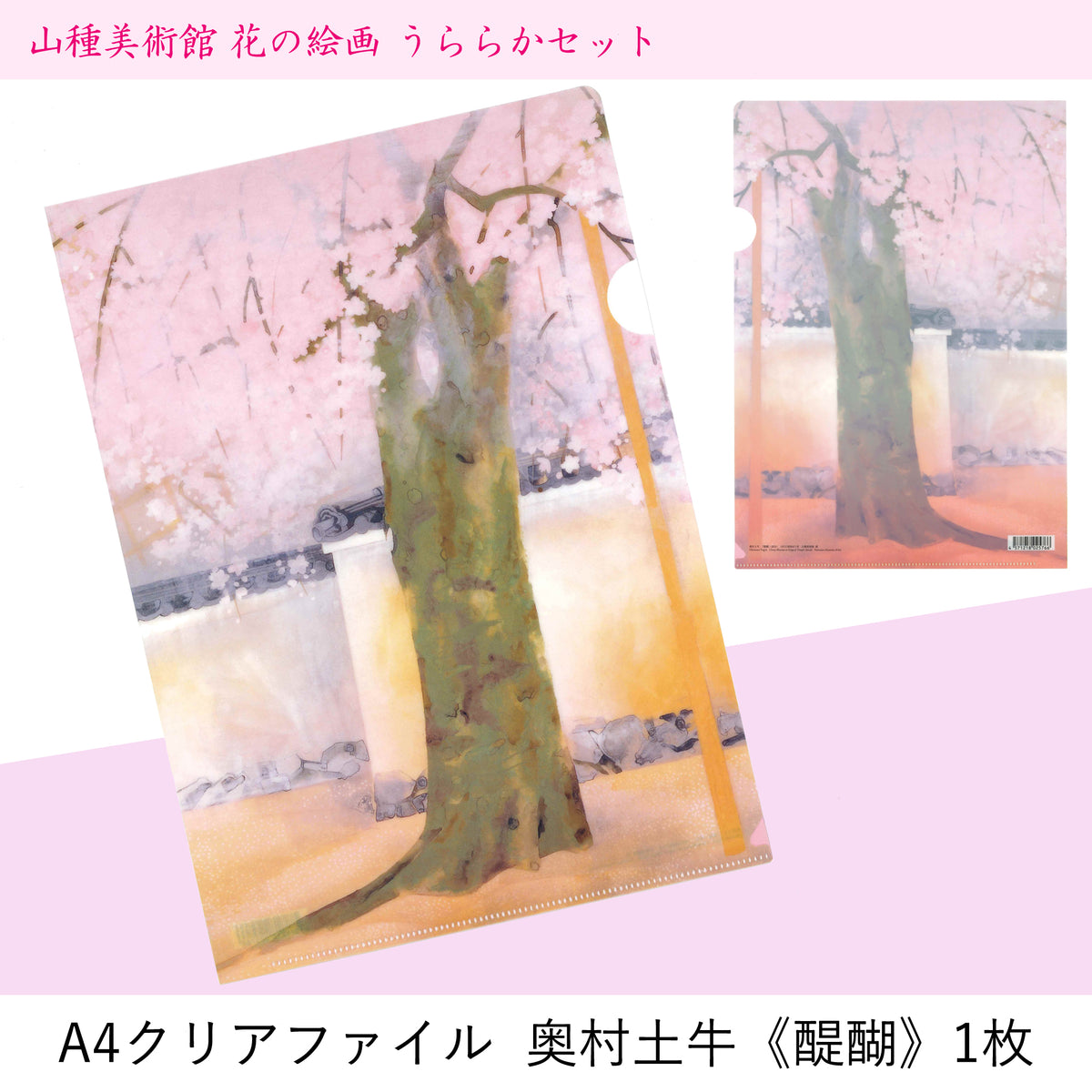 山種美術館 花の絵画 うららかセット