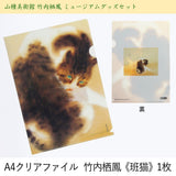 山種美術館 竹内栖鳳 ミュージアムグッズセット