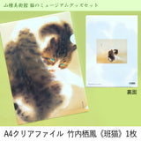 A4クリアファイル 竹内栖鳳《班猫》