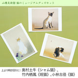 絵はがき 竹内栖鳳《班猫》、奥村土牛、小林古径《猫》《シャム猫》、