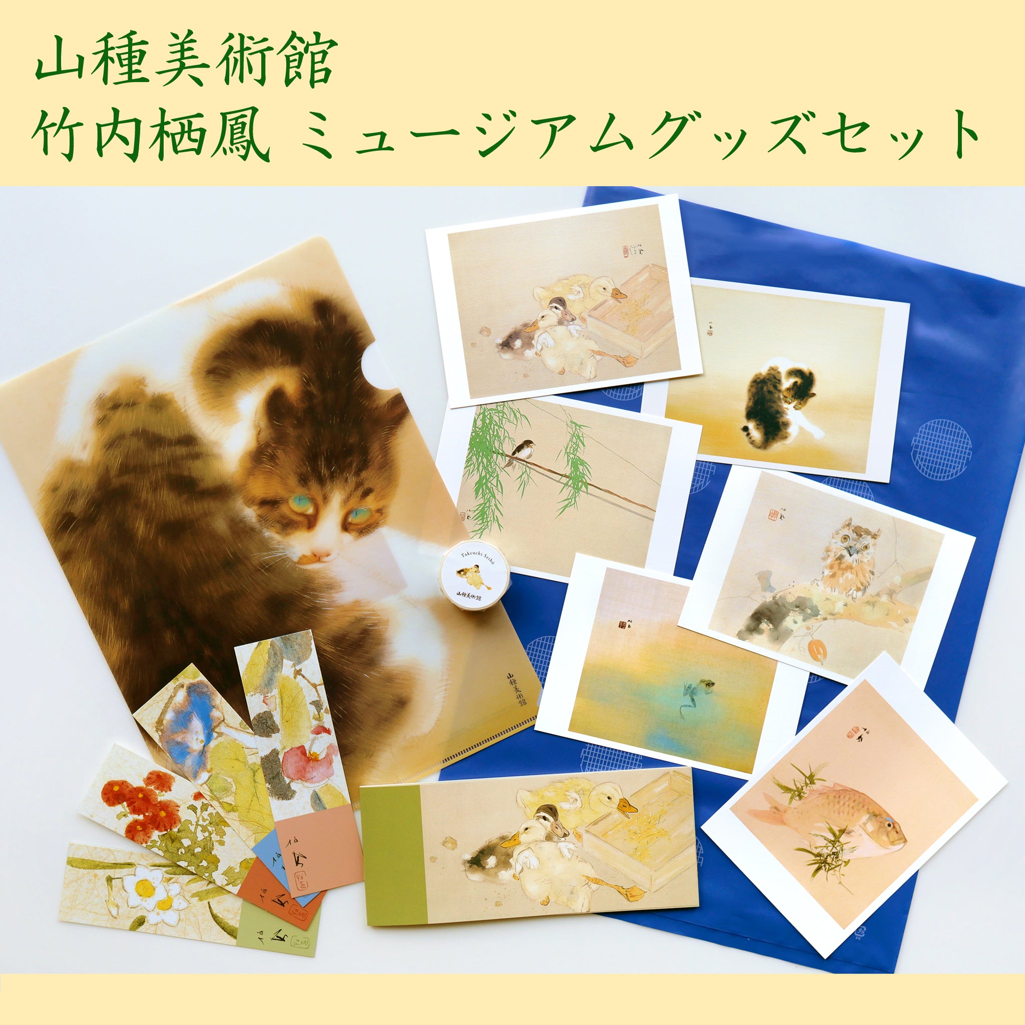 速水御舟 書籍 6点セット 出版物(図録)・ミュージアムグッズのご購入 – 山種美術館
